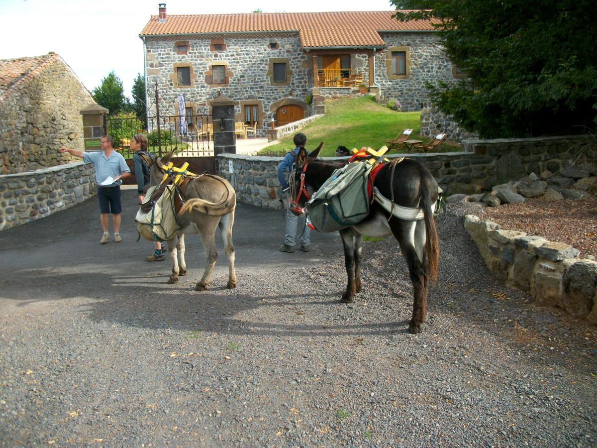 Le Clos Des Pierres Rouges Saint-Privat-dʼAllier エクステリア 写真